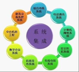 拉勾网 信息系统集成服务的价值与未来趋势